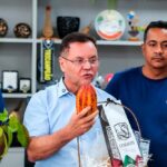 Seminário Cacau-MT Familiar promete expandir informações sobre cultura altamente rentável
