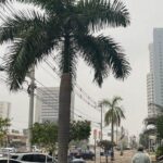 Termômetros despencam e Cuiabá deve ter temperatura de 12°C no final de semana