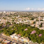 Há 200 anos Dom Pedro I previa criar um jardim botânico na região do Morro da Luz