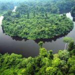 Governo de MT e O.N.E. Amazon firmam convênio de US$ 100 milhões para preservação da Amazônia