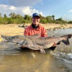 Pescador Esportivo fisga pintado de 30kg no Rio Cuiabá