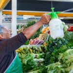 Prefeitura de Cuiabá entrega 142 Termos de Permissão para o Mercado do Porto nesta quarta