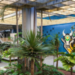 Governo de MT regulamenta decreto sobre moratória da soja e concessão de incentivos