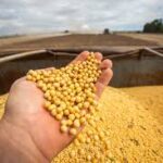 Mercado inicia 2026 com expectativas otimistas para inflação, PIB e juros