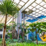 Governo de MT fortalece microcervejarias e reduz ICMS na cadeia do pão francês