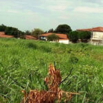 Lei sancionada cria canal para denúncias de terrenos baldios em Várzea Grande