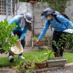 Prefeitura faz grande mutirão contra a dengue em Cuiabá nesta terça
