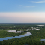 Governo federal anuncia ampliação de unidades de conservação no Pantanal de MT