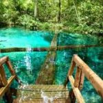 Turismo de negócios e eventos fortalece a economia regional em Mato Grosso