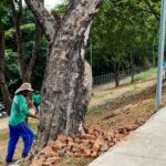 Prefeitura realiza limpeza e revitalização da Orla da Alameda em Várzea Grande