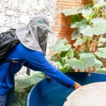 Boletim aponta queda nos casos de dengue e chikungunya em Cuiabá em 2026