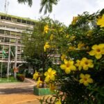 Prefeitura de Cuiabá injeta R$ 31,4 milhões na economia com pagamento de aposentados nesta sexta