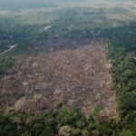 Desmatamento na Amazônia cai 41,8% e atinge menor nível em 38 anos