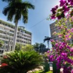 Prefeitura realiza 1º Empreende Cuiabá nesta terça (27)